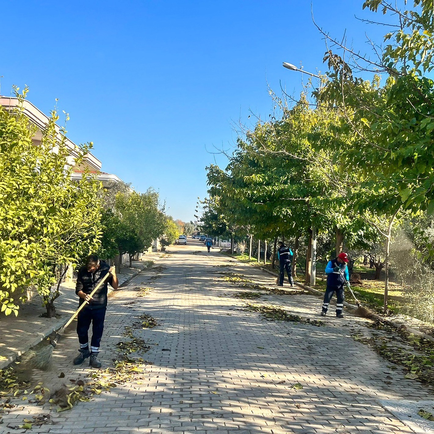 Efeler Belediyesi mahallelerdeki temizlik çalışmalarını sürdürüyor
