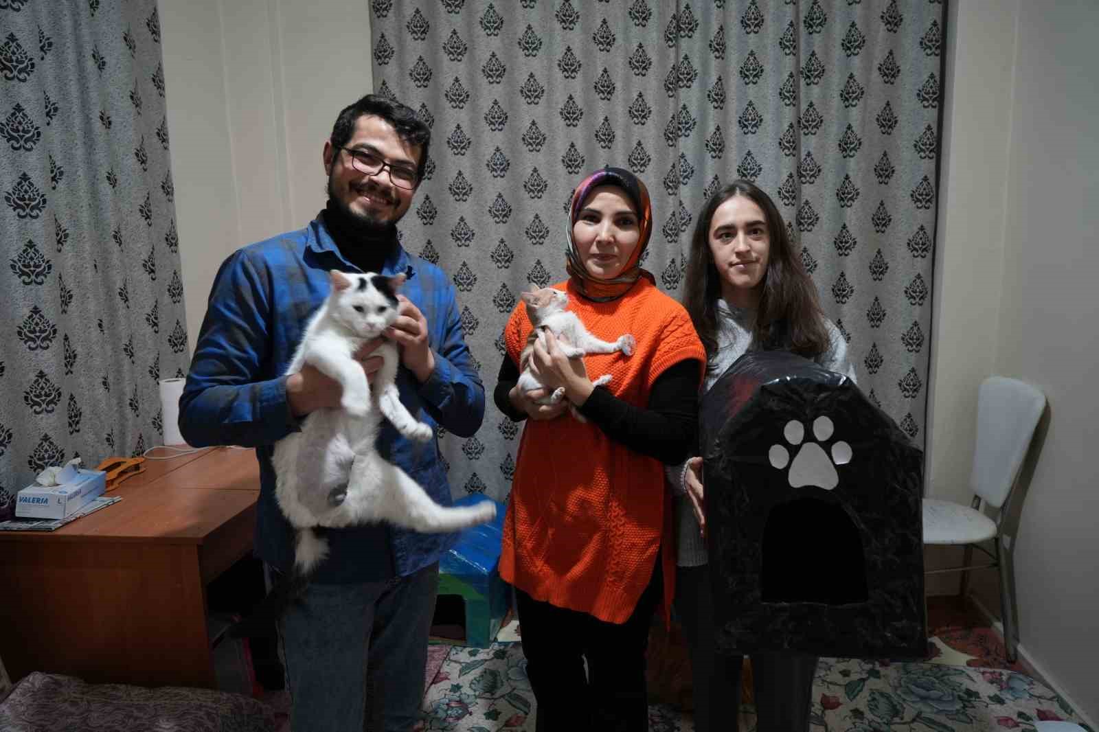 Gümüşhane’de öğrenciler engelli kediler için kedi evi yaptı
