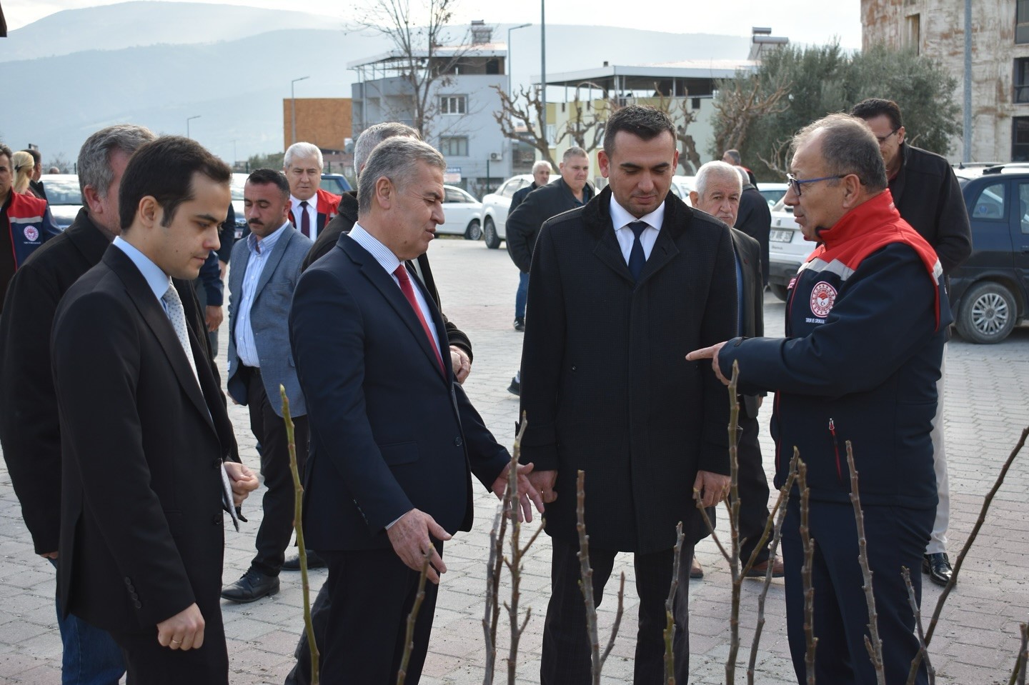 Aydın’ın ilk ilek bahçesi Buharkent’te kurulacak
