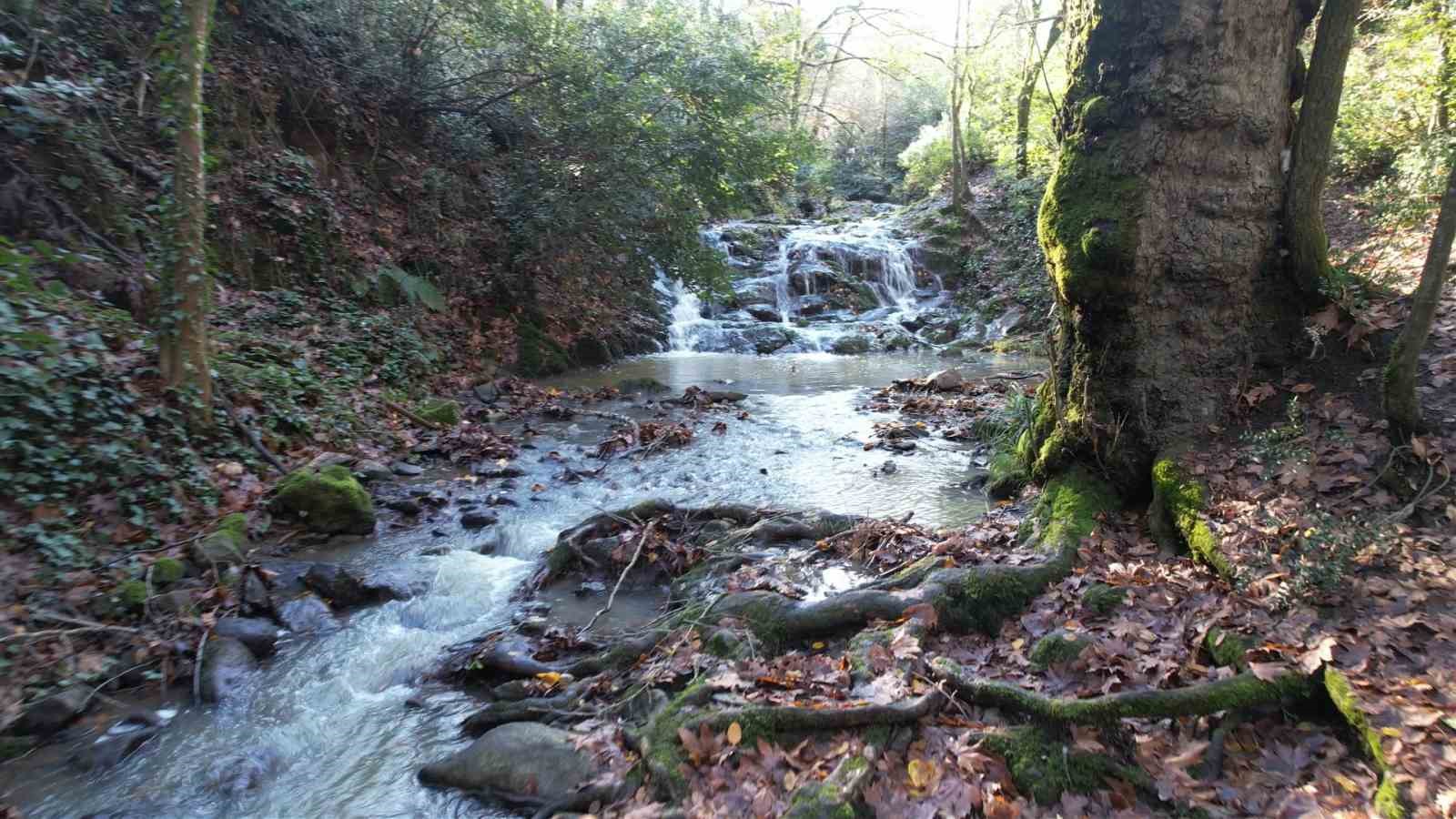 Yalova Termal Kaplıcaları binlerce yıldır insanlığa şifa dağıtıyor
