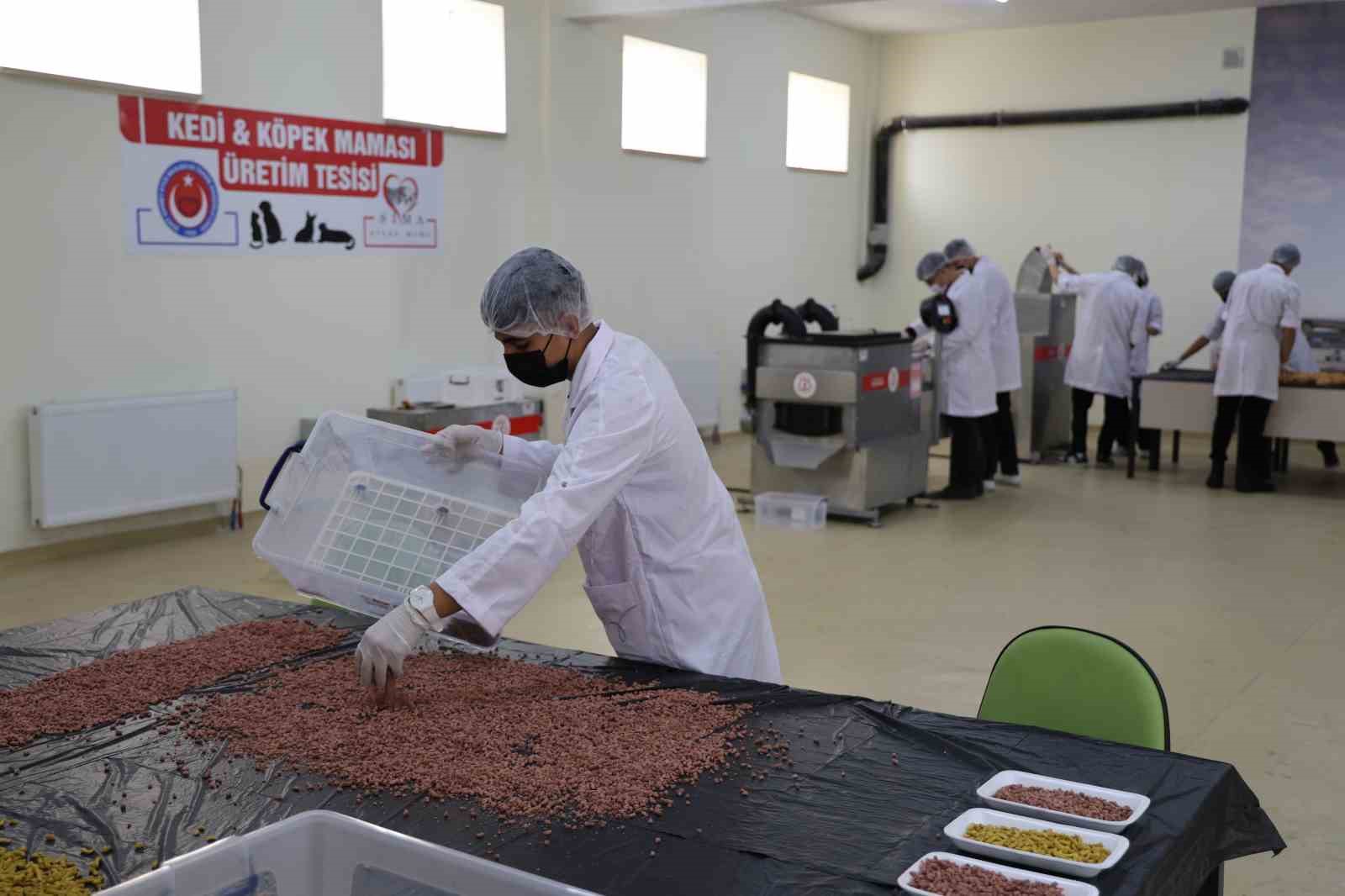 Kullanım dışı gıdalar, öğrencilerin ellerinde mamaya dönüştü
