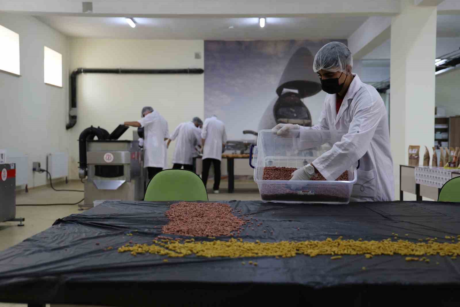 Kullanım dışı gıdalar, öğrencilerin ellerinde mamaya dönüştü
