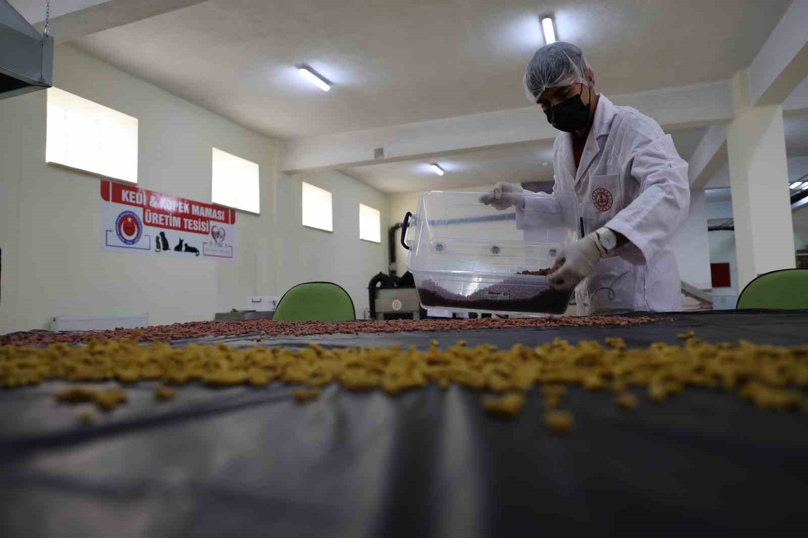 Kullanım dışı gıdalar, öğrencilerin ellerinde mamaya dönüştü
