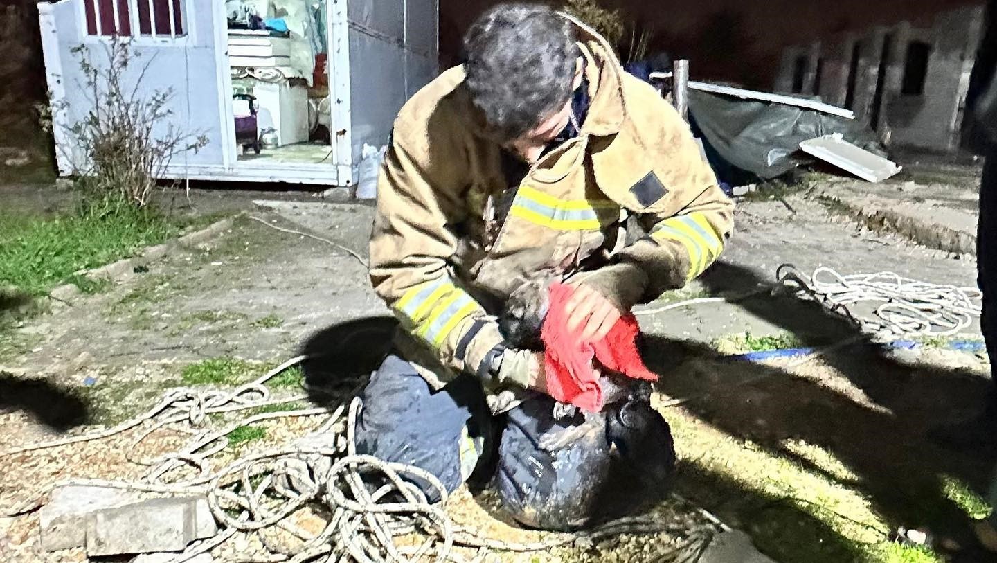 17 metre derinliğindeki kuyuya düşen köpeği itfaiye kurtardı
