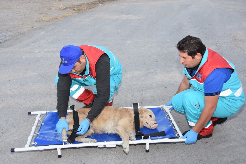 Küçük Dostlar Ambulansı ile 8 bin 753 can kurtarıldı
