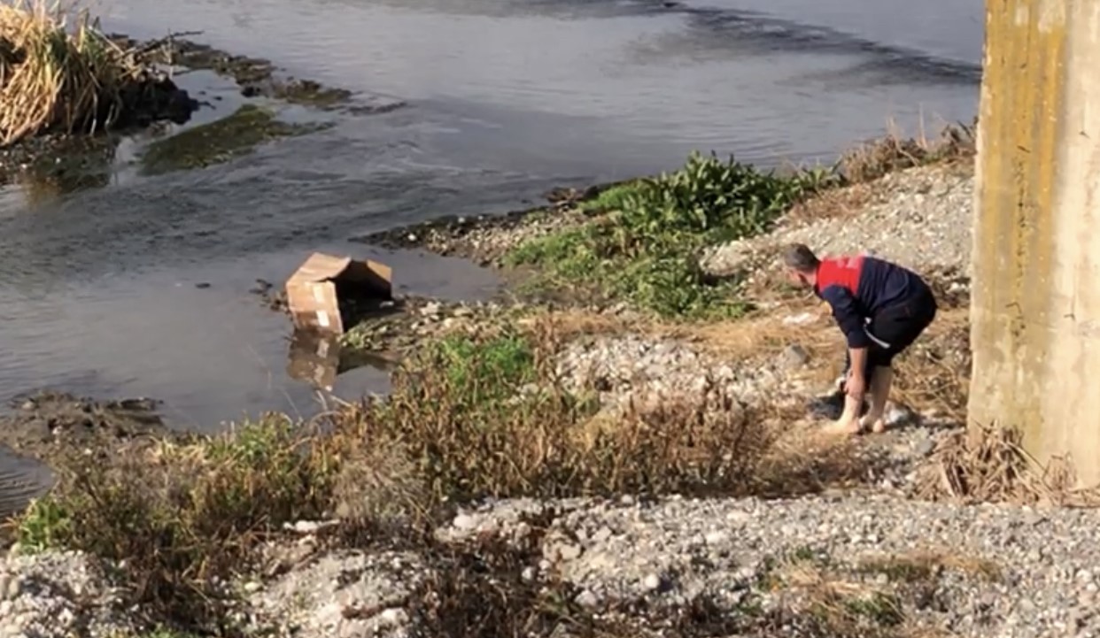 Nehirde mahsur kalan köpek için buz gibi suya girdi
