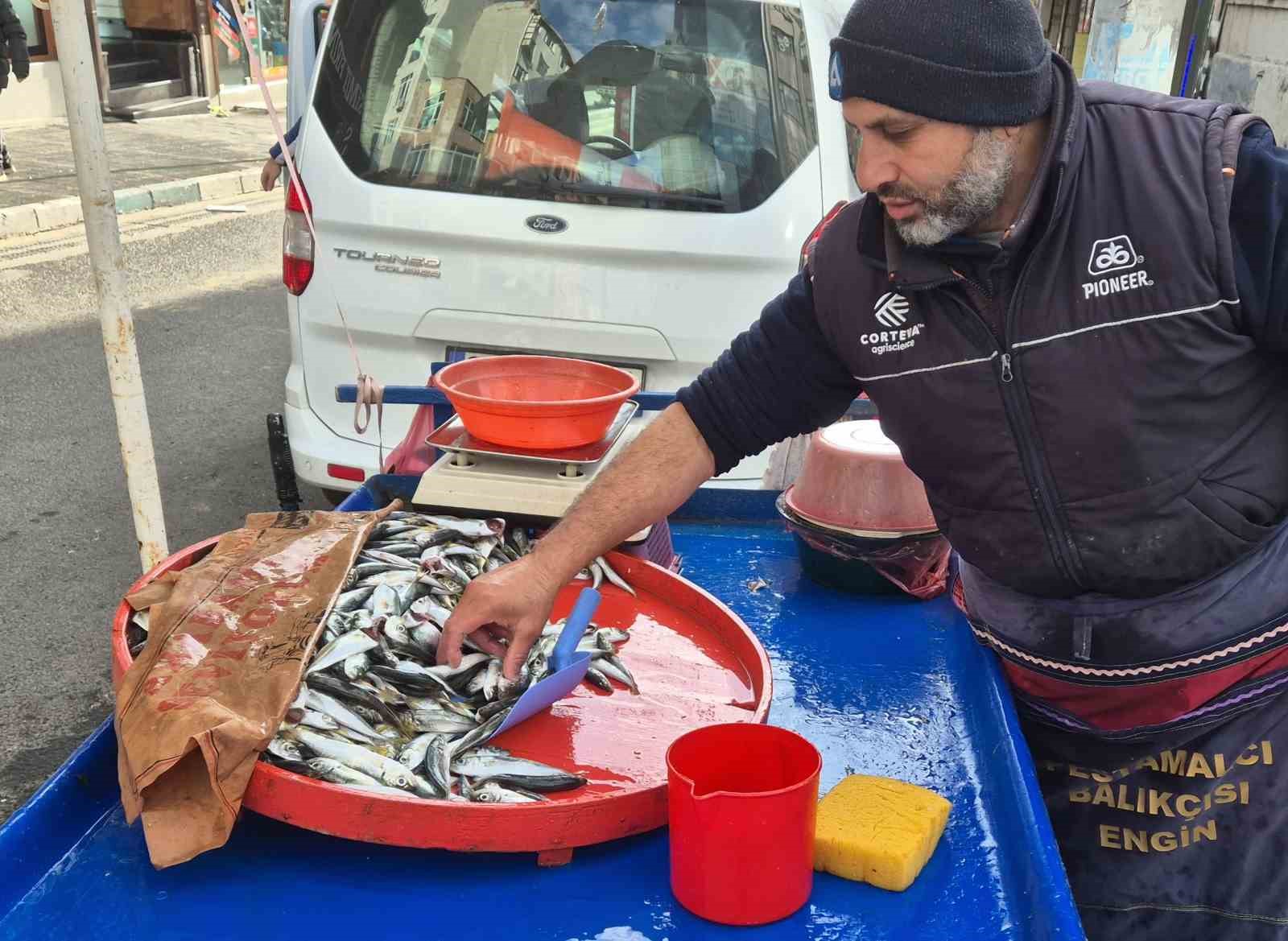 Tekirdağ’da hamsi 150 lira, istavrit 100 lira
