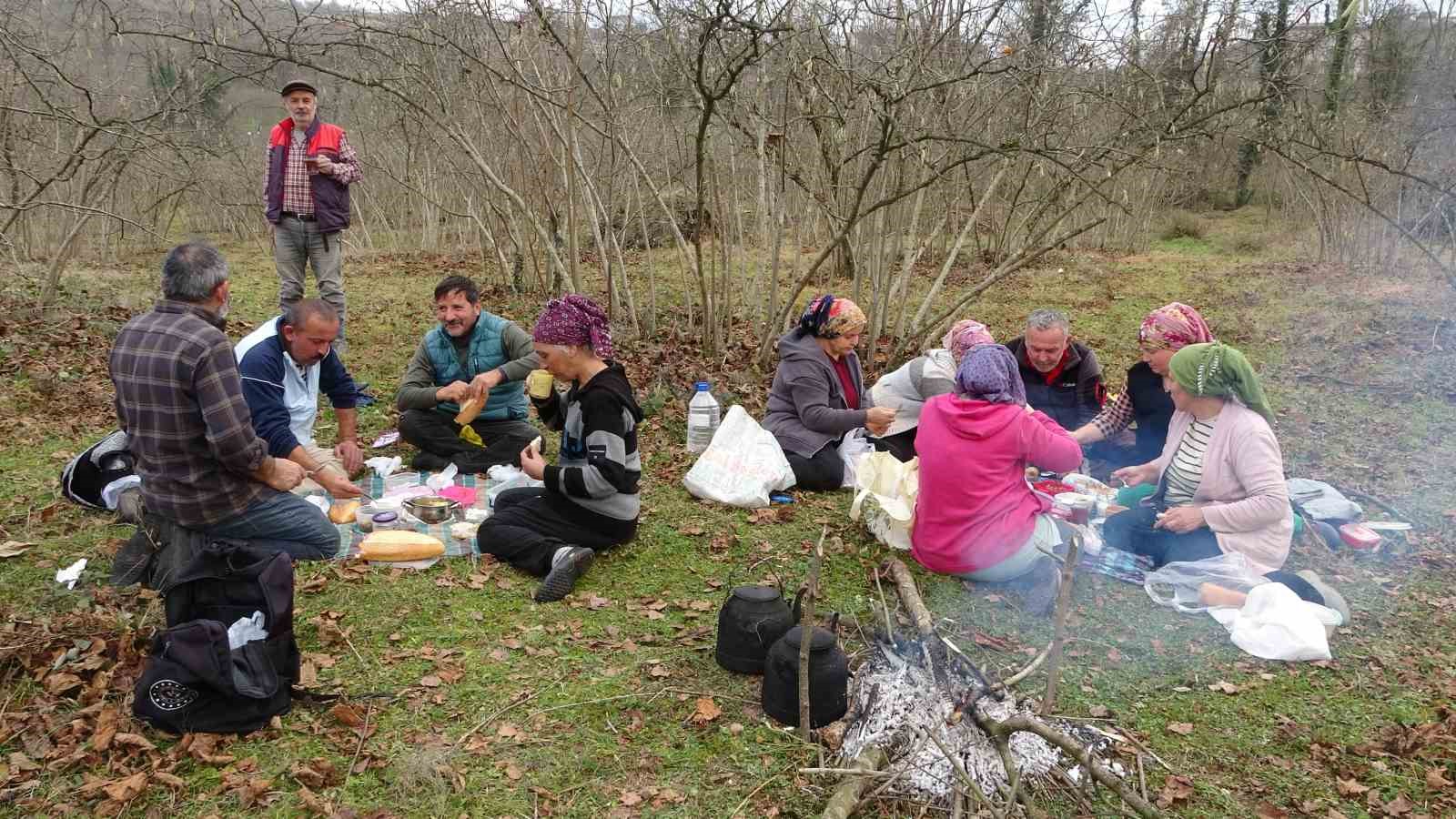 Fındık bahçelerinde kış bakımı başladı
