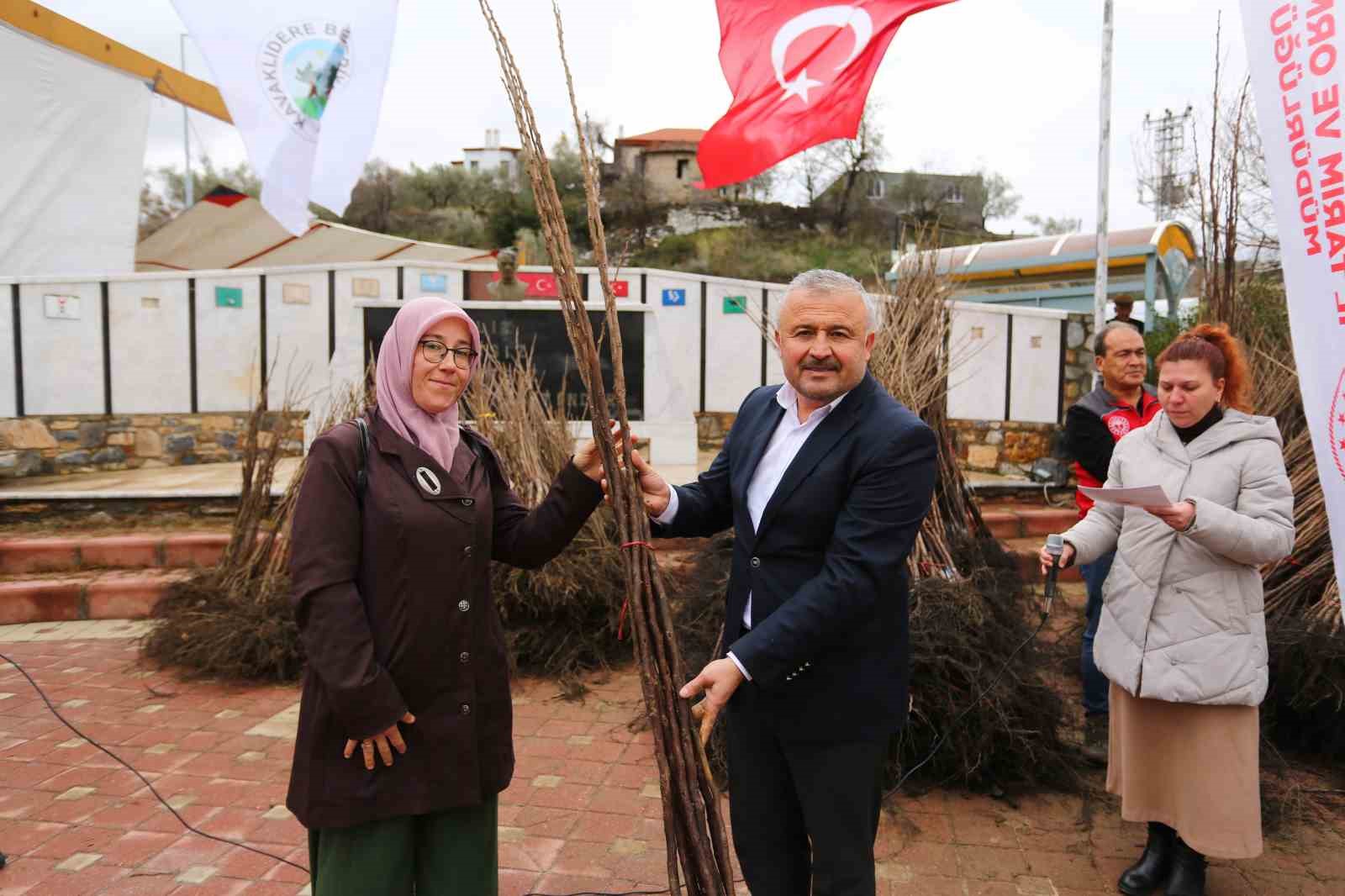 Kavaklıdere’de Cennet Elması fidanı dağıtımı
