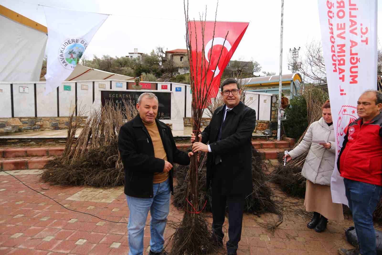 Kavaklıdere’de Cennet Elması fidanı dağıtımı
