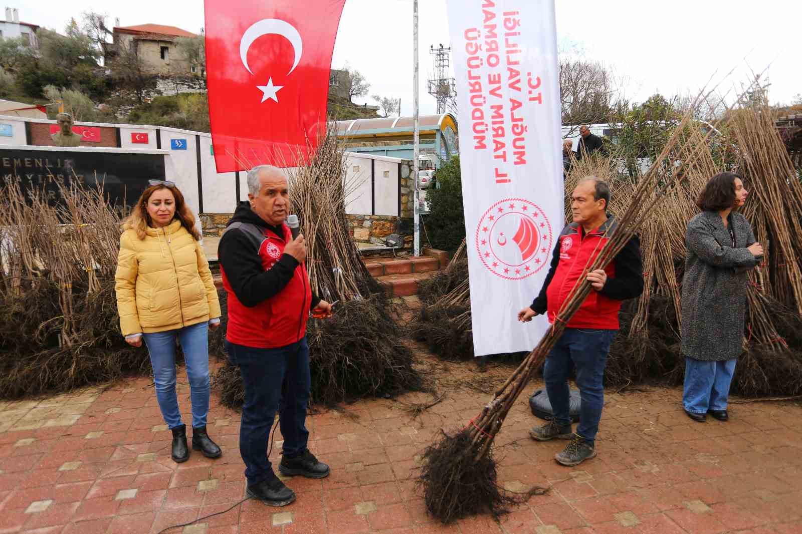 Kavaklıdere’de Cennet Elması fidanı dağıtımı
