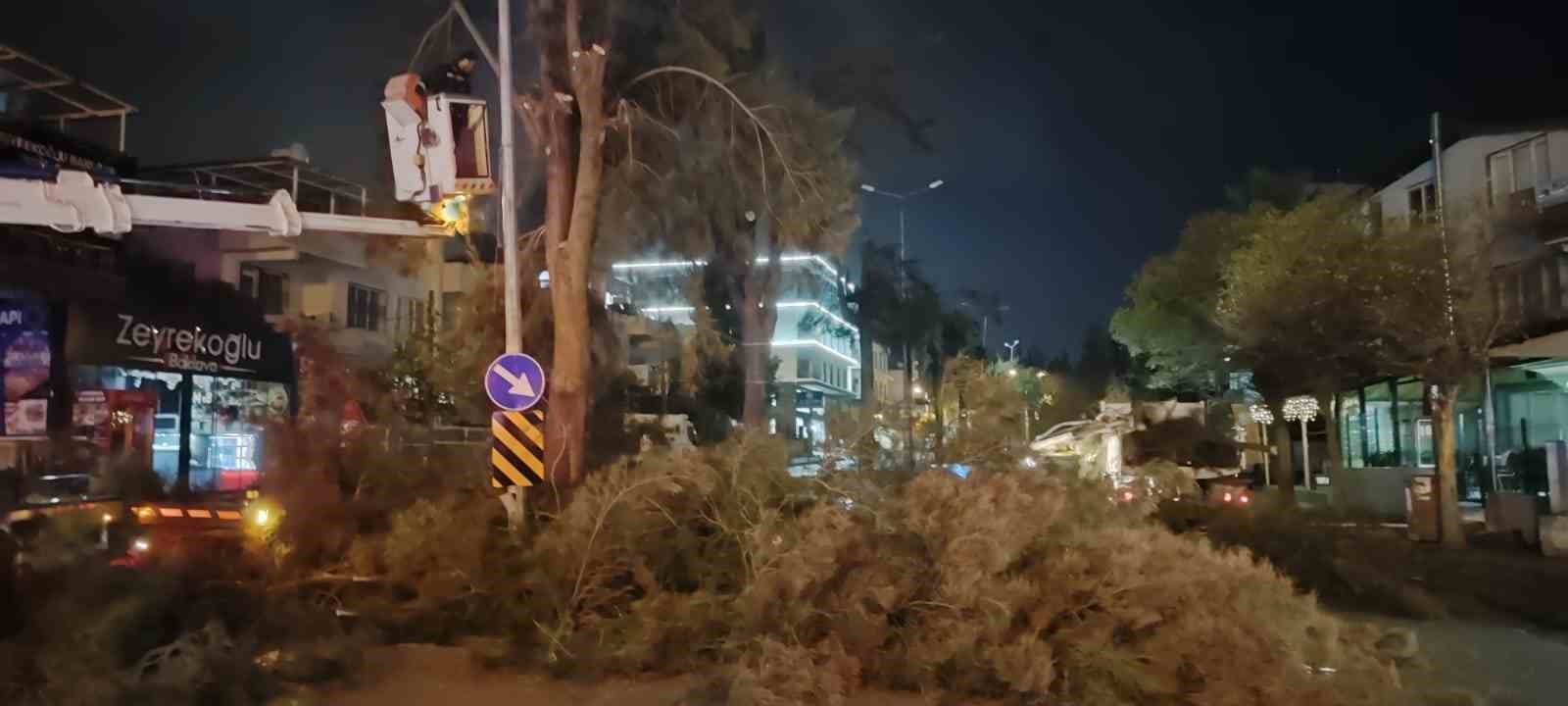 Büyükşehir’den Kuşadası’nın kent estetiğine dokunuş
