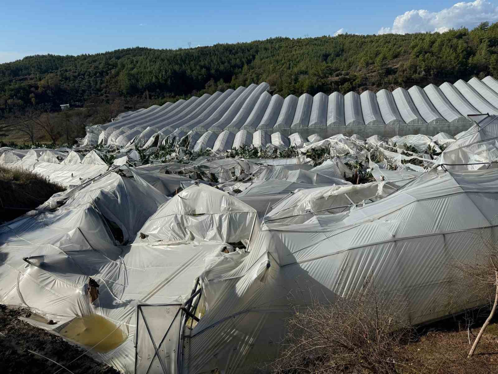 Manavgat’ta hortum muz seralarını vurdu, görüntüler yeni ortaya çıktı
