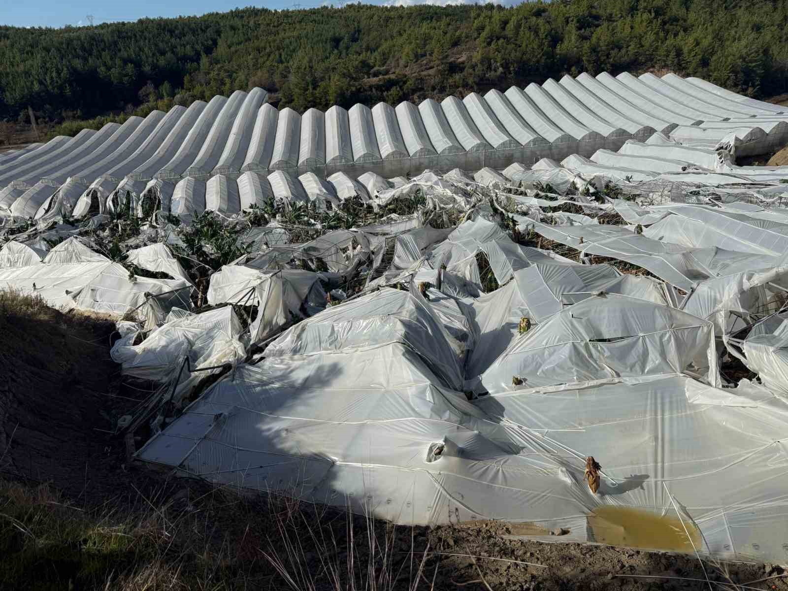 Manavgat’ta hortum muz seralarını vurdu, görüntüler yeni ortaya çıktı
