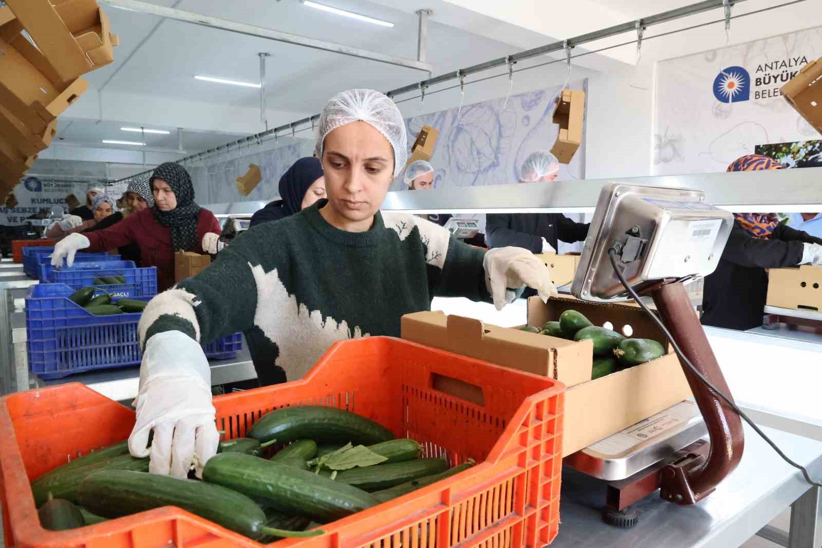 Kurutma tesisi israfı önlüyor, üretim fazlası ürünler ekonomiye kazandırılıyor
