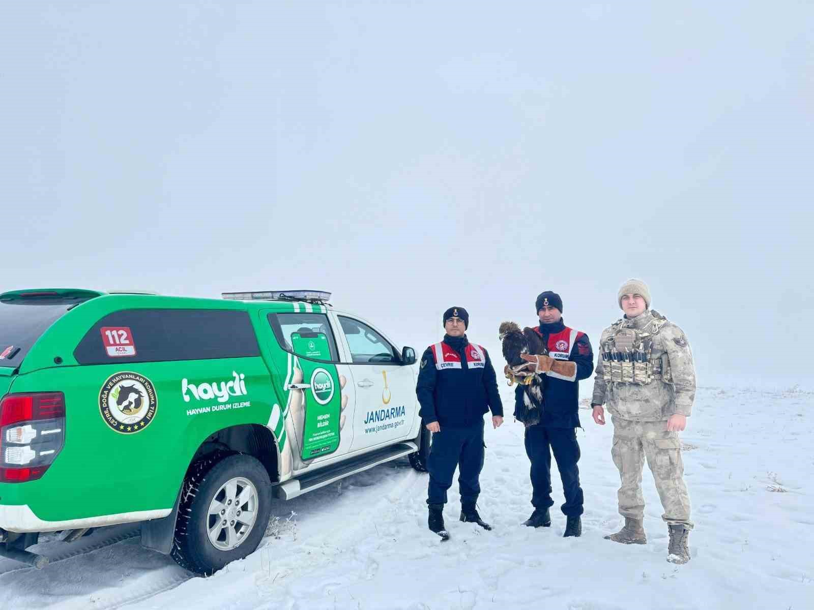 Bitkin kartal jandarmanın şefkatli ellerinde
