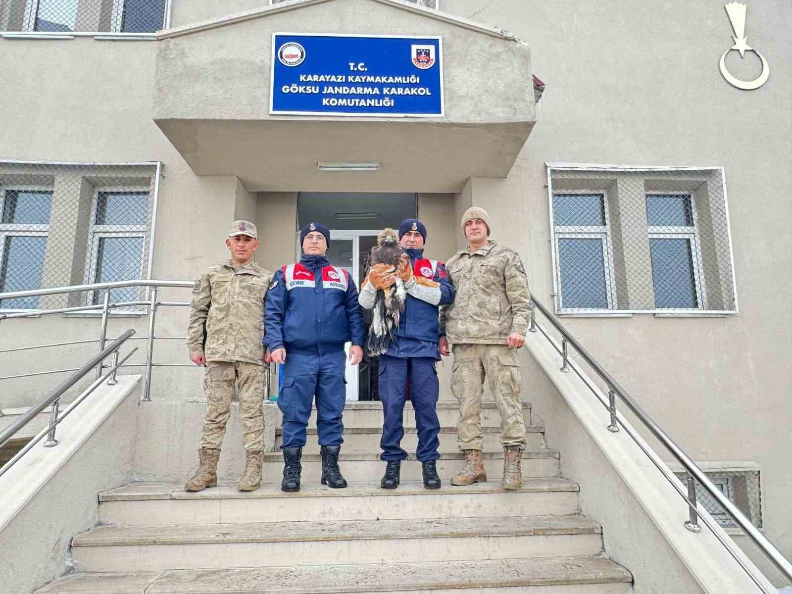 Bitkin kartal jandarmanın şefkatli ellerinde
