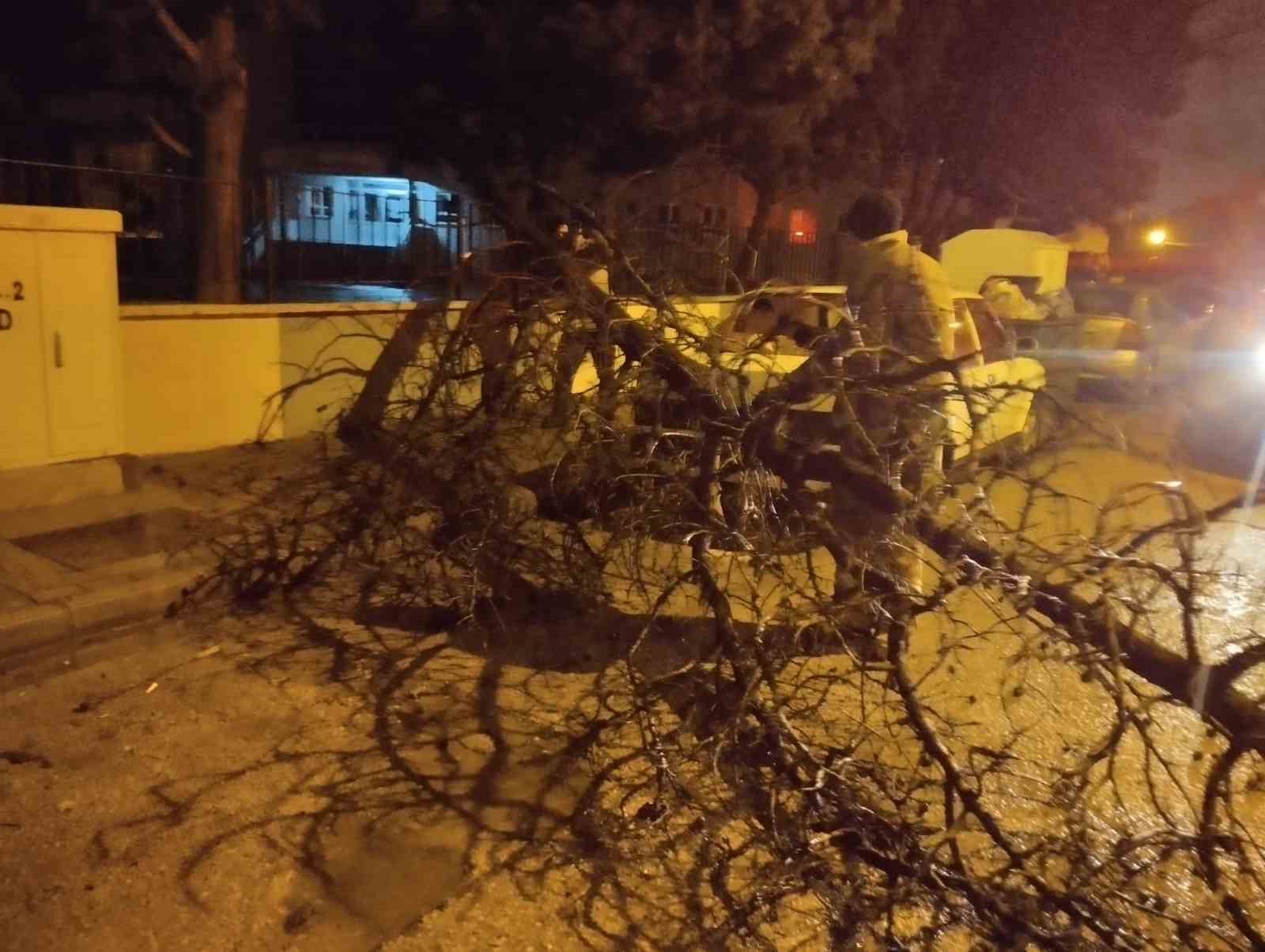 Bandırma ve Erdek’i fırtına vurdu: Çatılar uçtu, ağaçlar devrildi
