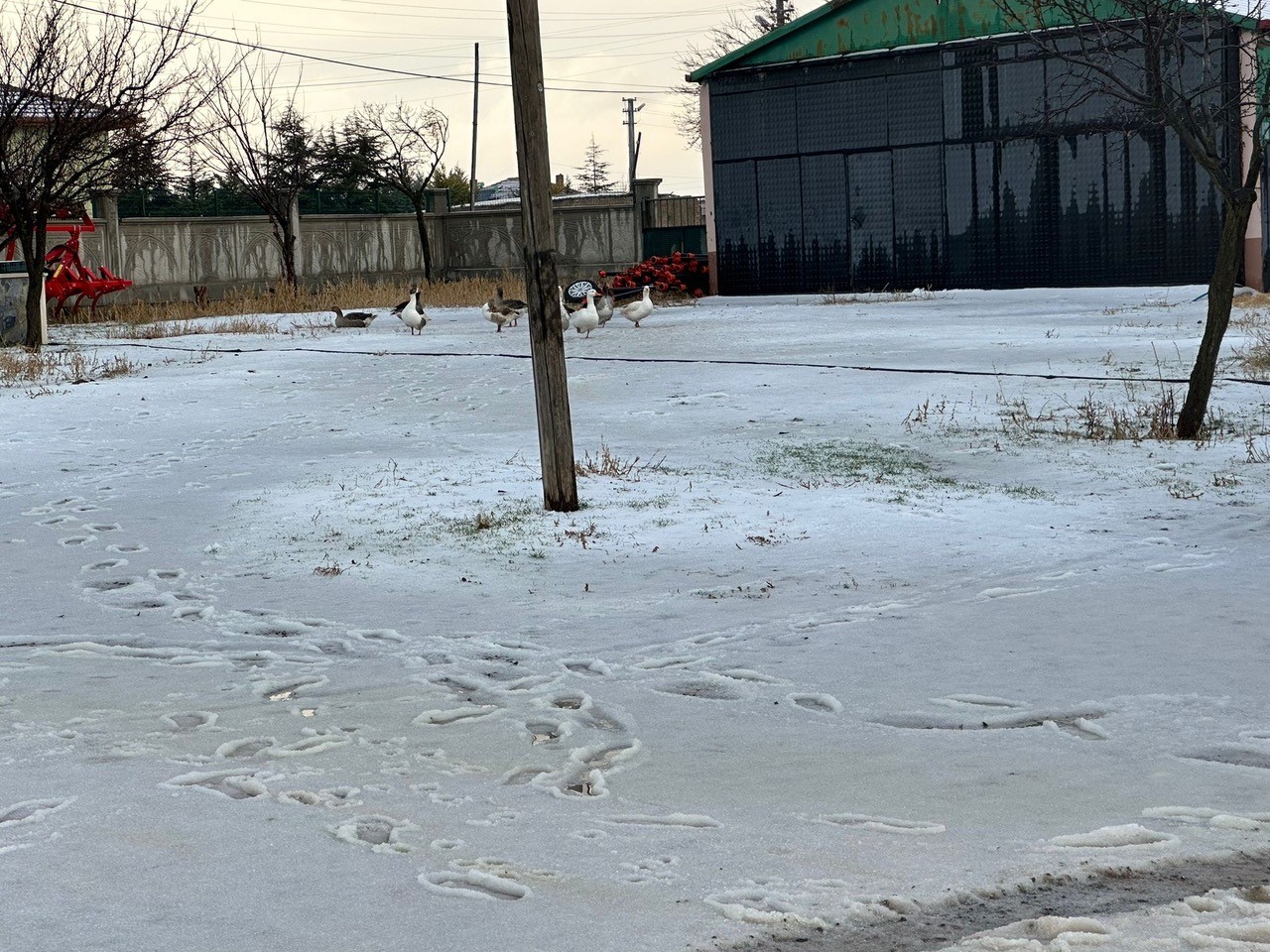 Konya’da dolu yağışı etkili oldu, mahalle beyaza büründü
