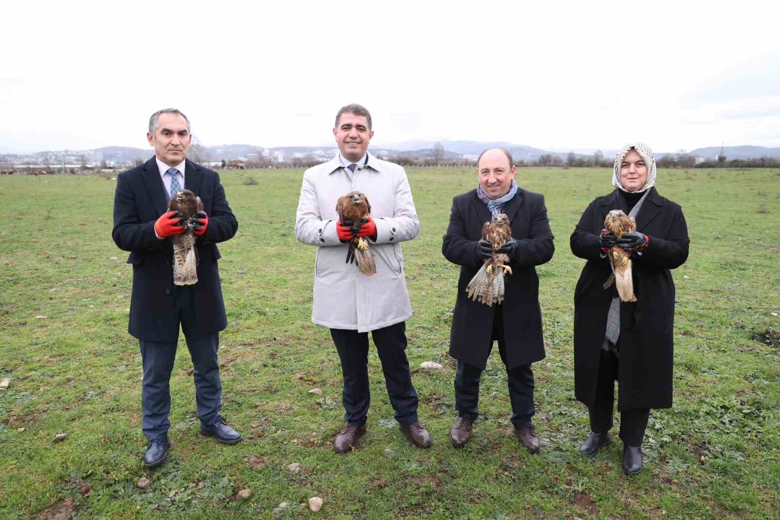 Tedavileri tamamlanan Kızıl Şahinler doğaya salındı
