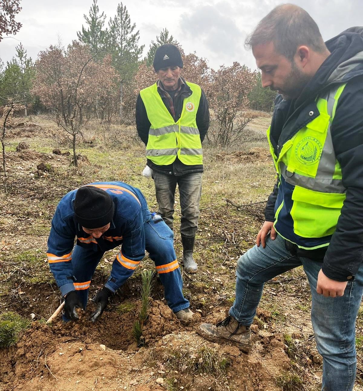 Hisarcık’ta 43 bin 300 fidan toprakla buluştu
