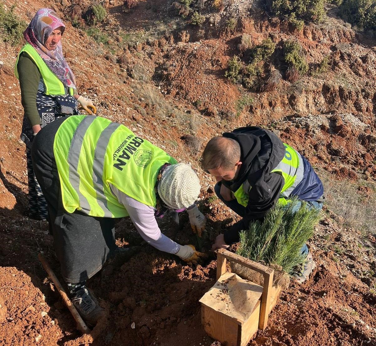 Hisarcık’ta 43 bin 300 fidan toprakla buluştu
