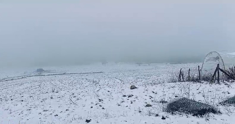 Seyitgazi ilçesi beyaza büründü
