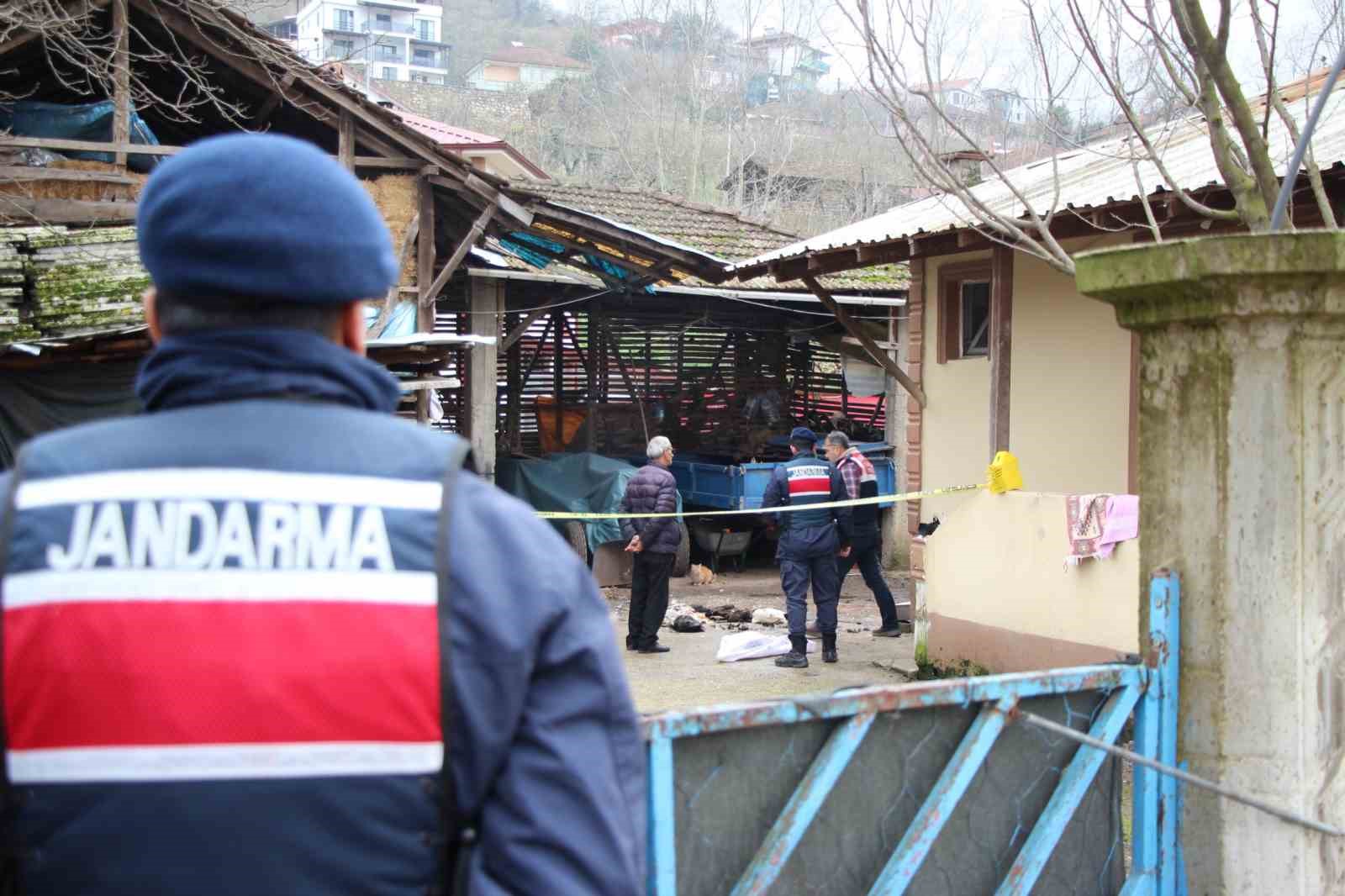 Annesinin horozları komşuya verdiğini duyunca tüfekle dehşet saçtı
