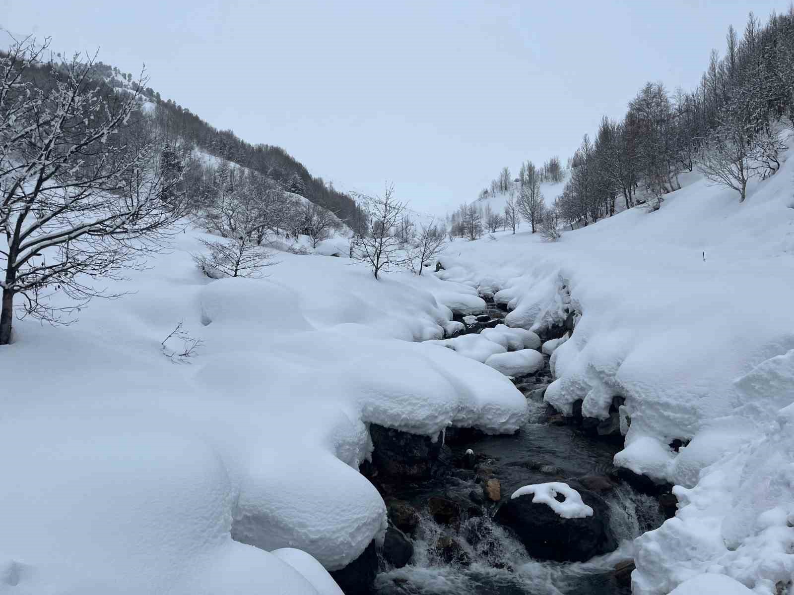 Artvin’in Bıçakçılar köyünde kış zorluklarla geçiyor: Kar kalınlığı 3 metreyi aştı
