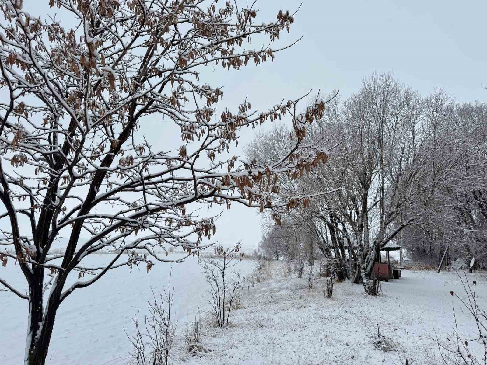 Ağrı’da kar manzarası görsel şölen oluşturdu
