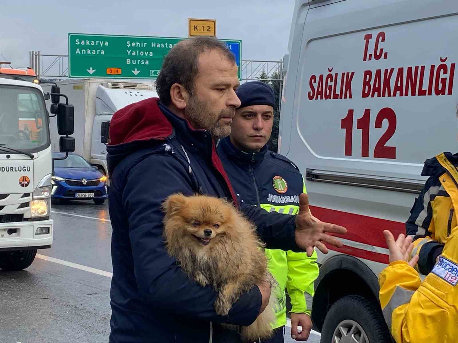 TEM’de cip istinat duvarına çarptı: Köpeğini bir an olsun bırakmadı
