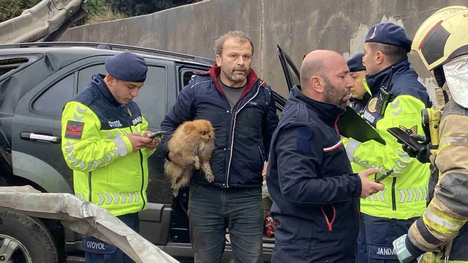 TEM’de cip istinat duvarına çarptı: Köpeğini bir an olsun bırakmadı
