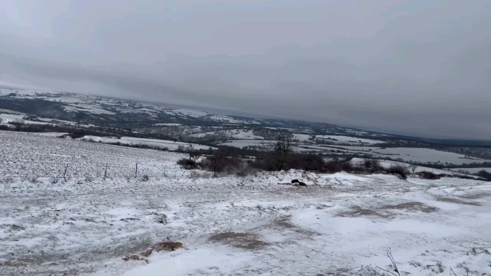 Edirneli besicilerin kar altında zorlu mesaisi
