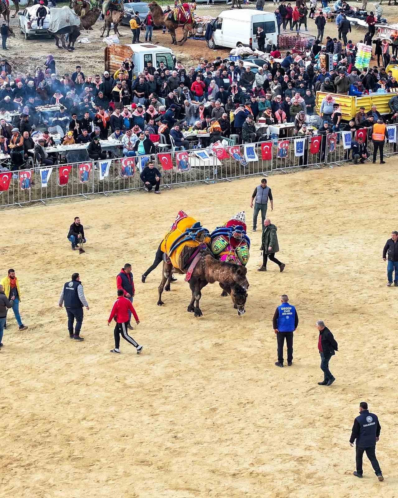 Kuşadası’nda deve güreşi festivali renkli görüntülere sahne oldu
