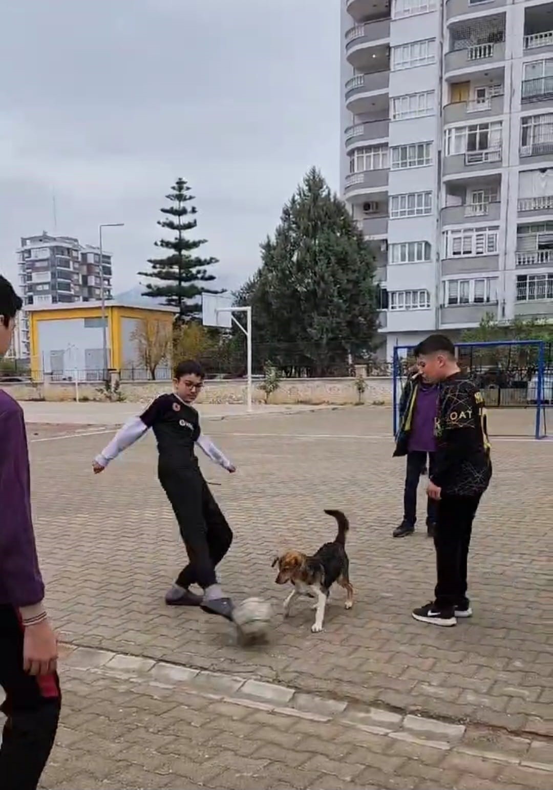 Okul bahçesine giren köpek öğrencilerle maç yaptı
