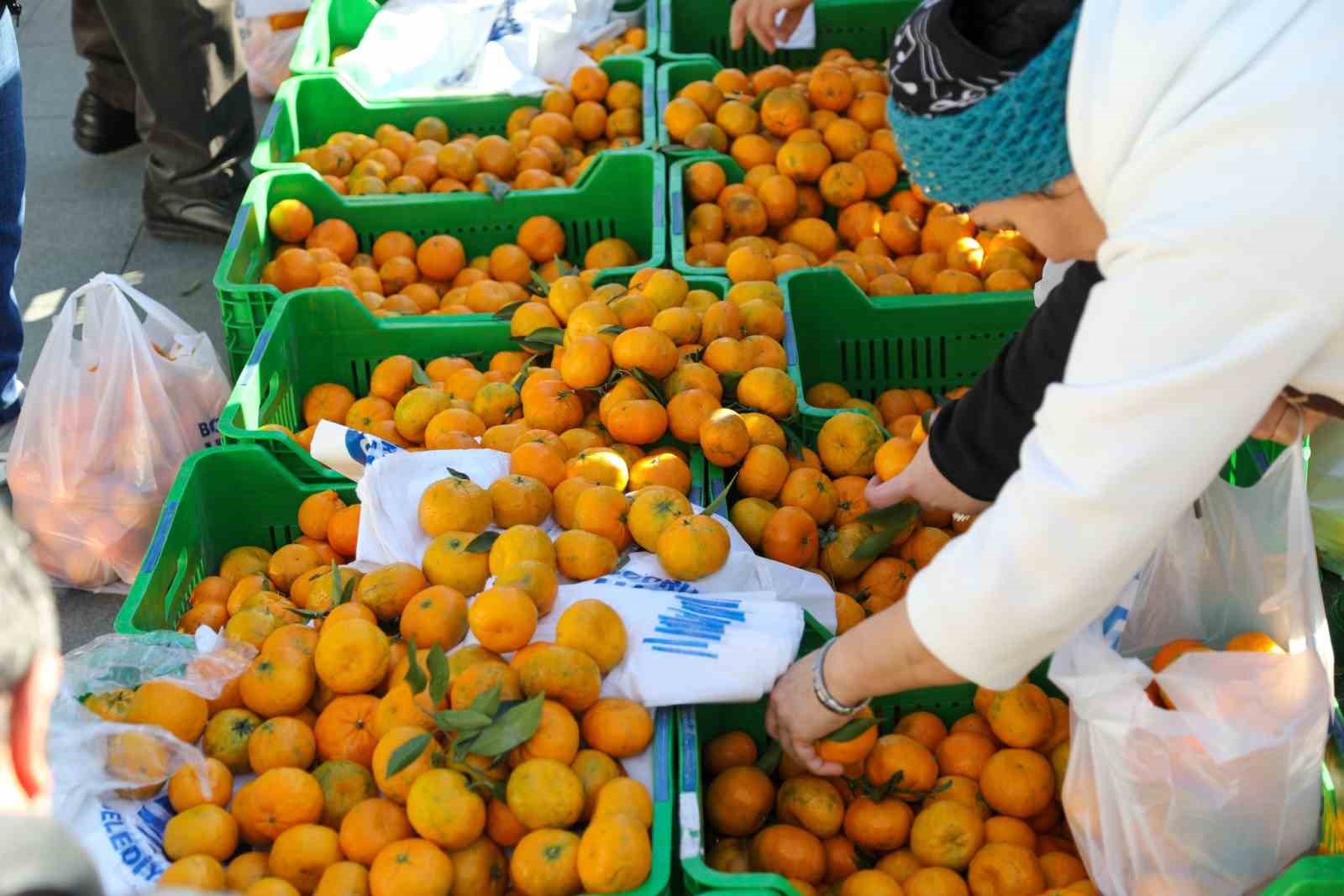 Bodrum’da 10 ton mandalina dağıtıldı
