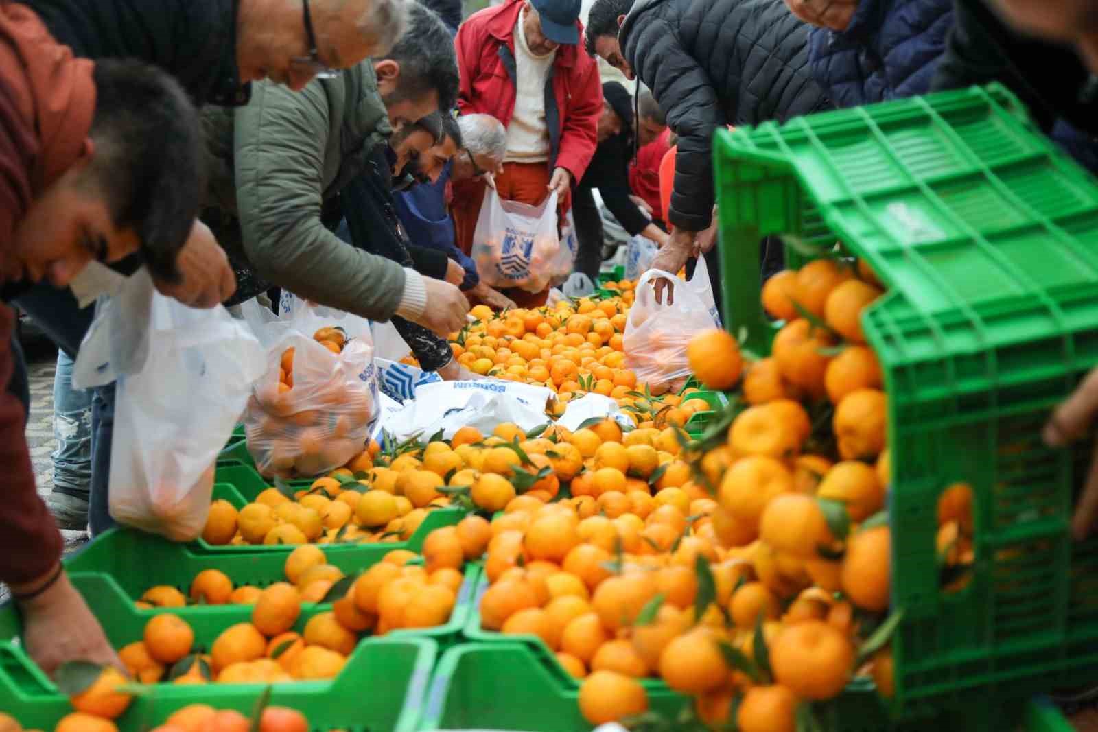 Bodrum’da 10 ton mandalina dağıtıldı
