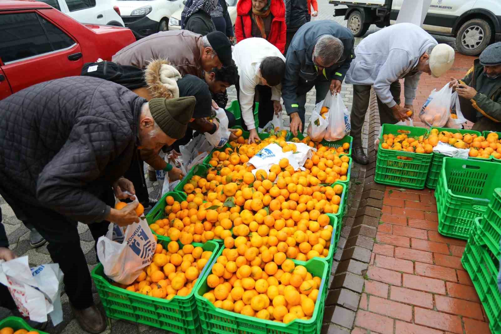 Bodrum’da 10 ton mandalina dağıtıldı
