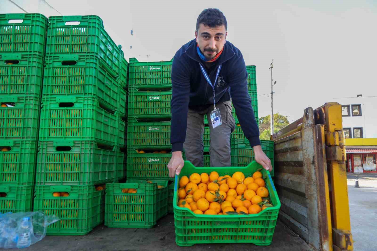 Bodrum’da 10 ton mandalina dağıtıldı
