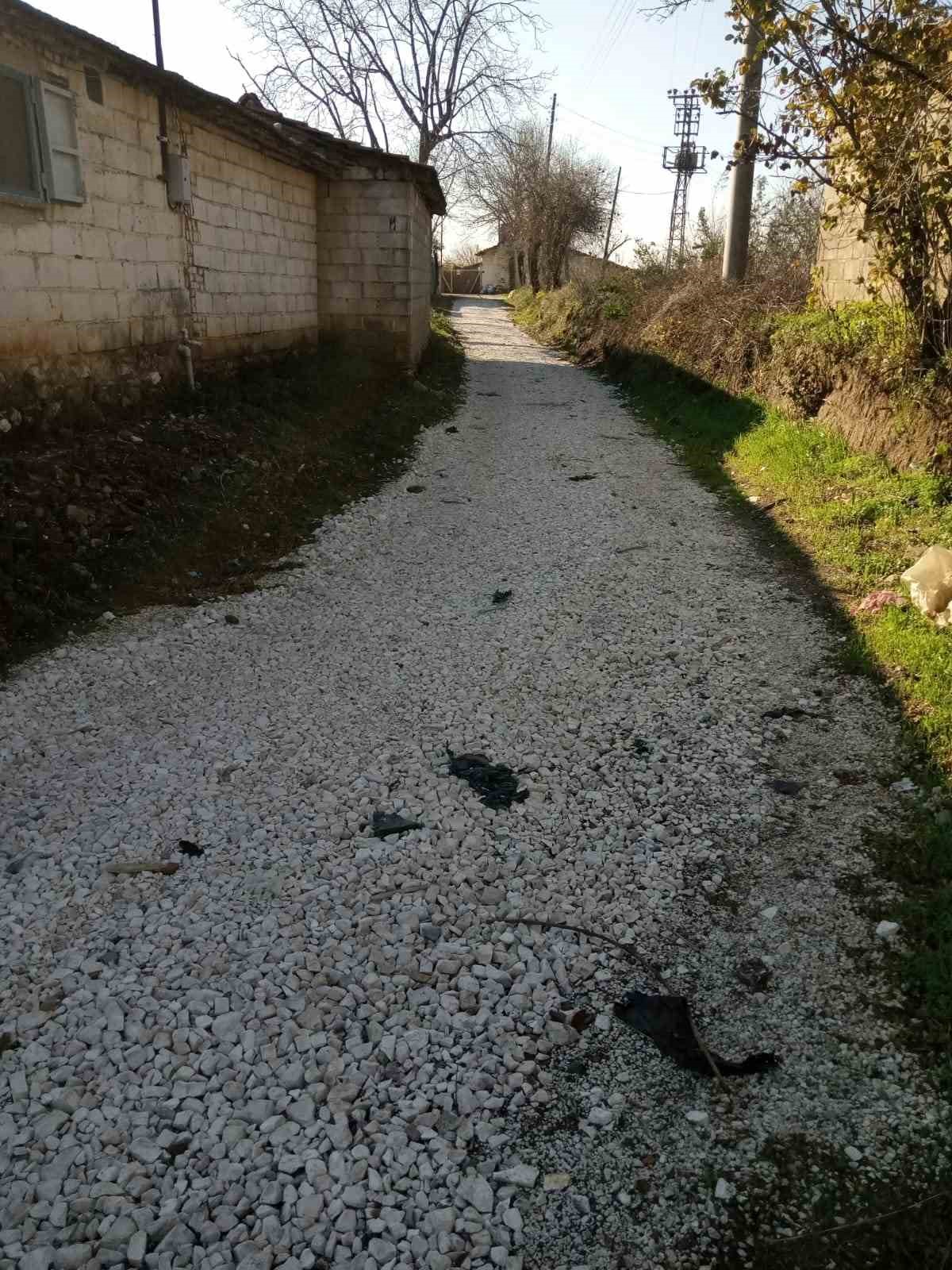 Sultanhisar’da belediye ekiplerinden yol ve ağaç budama çalışması
