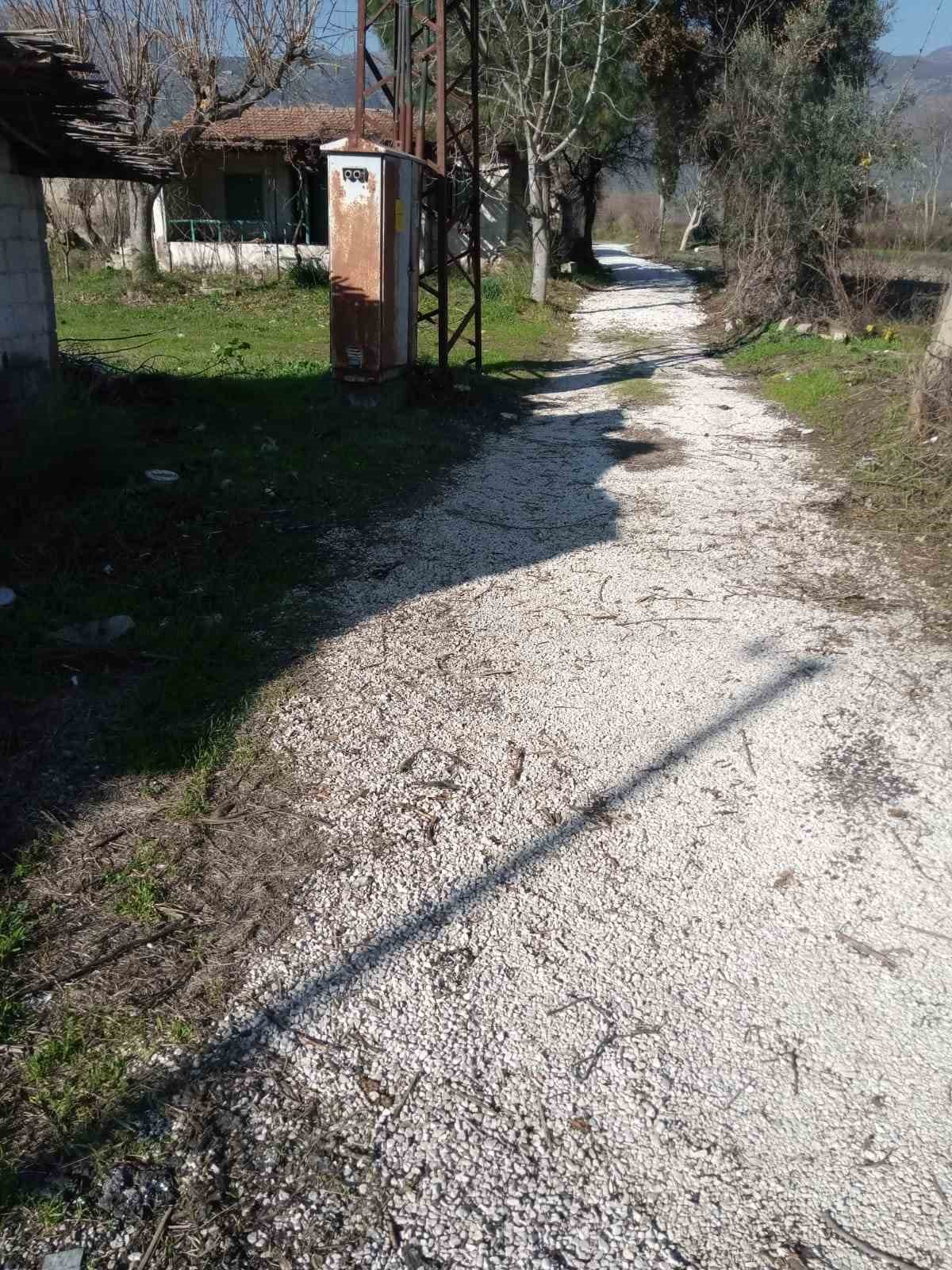 Sultanhisar’da belediye ekiplerinden yol ve ağaç budama çalışması
