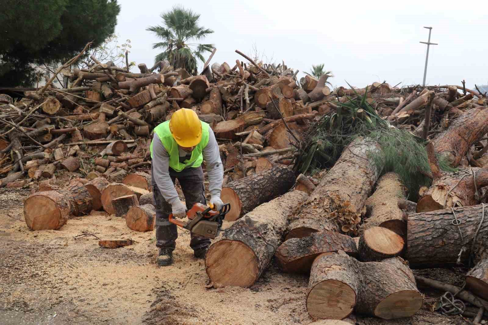 İhtiyaç sahiplerinin odunları park ve bahçelerden
