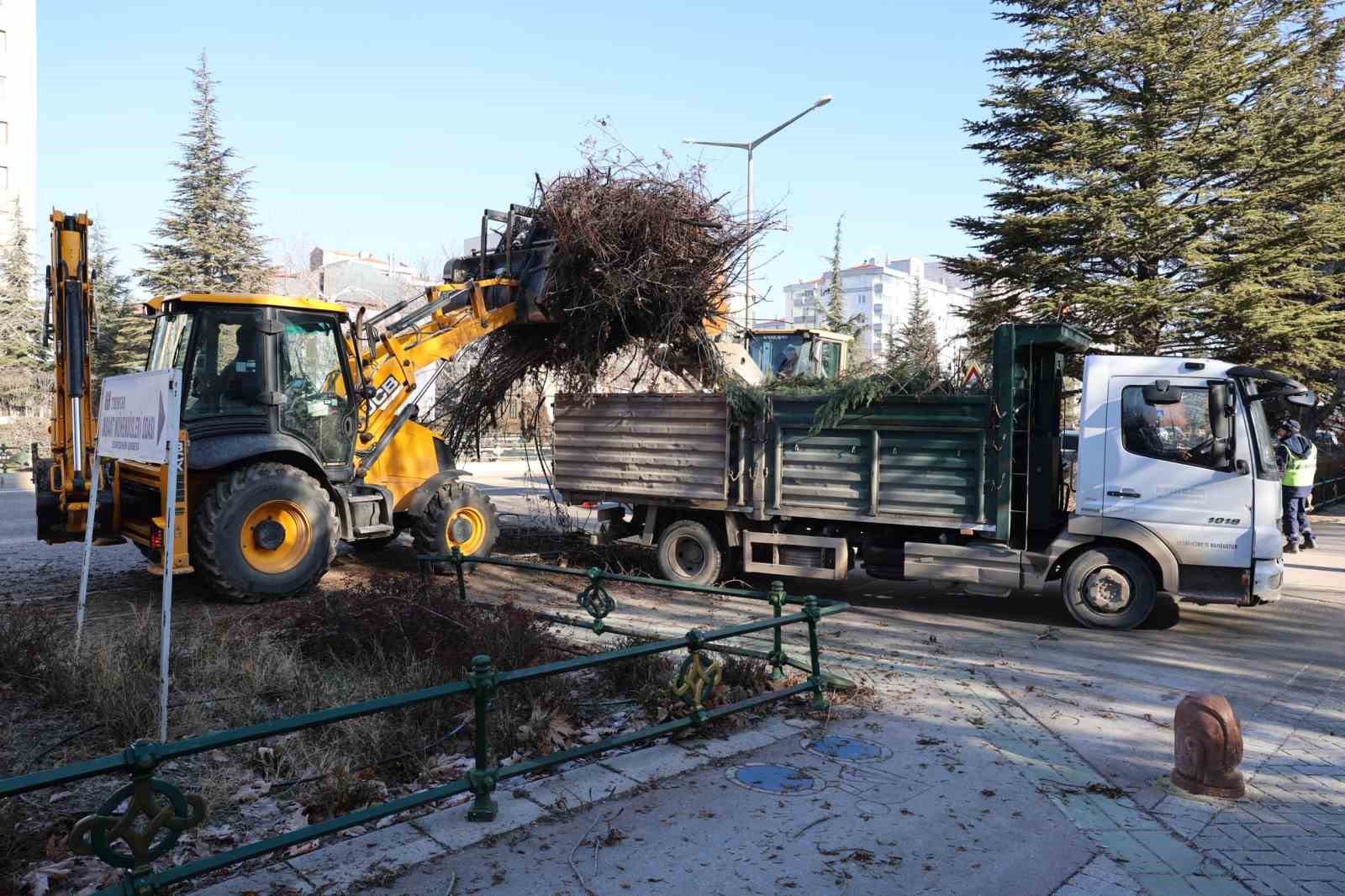 Büyükşehir ekipleri budama çalışmalarına devam ediyor
