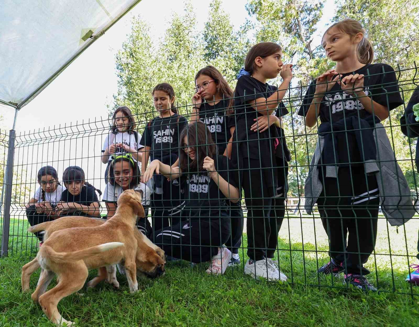 2024’te can dostların derdine deva hastalığına şifa oldular
