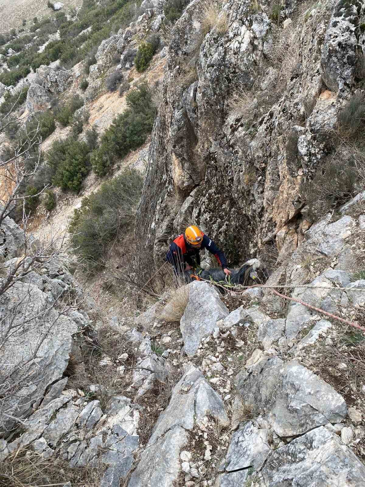 Burdur’da dağlık alanda mahsur kalan keçi kurtarıldı
