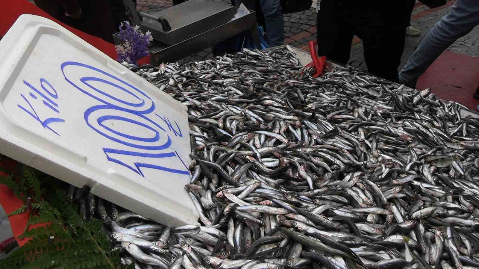 Edirne’de hamsi bolluğu: Kilosu 100 liraya düştü
