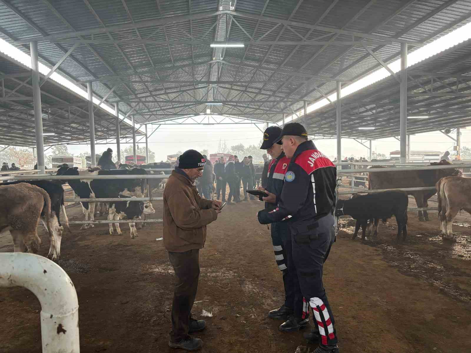 Jandarmadan, hayvan pazarında ’dolandırıcı’ denetimi
