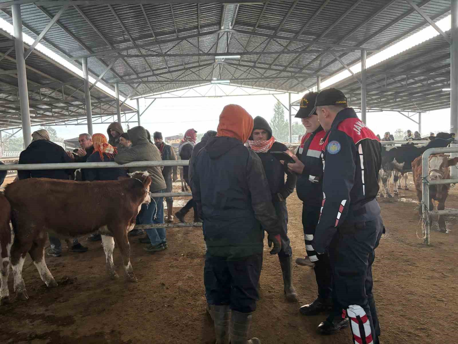 Jandarmadan, hayvan pazarında ’dolandırıcı’ denetimi
