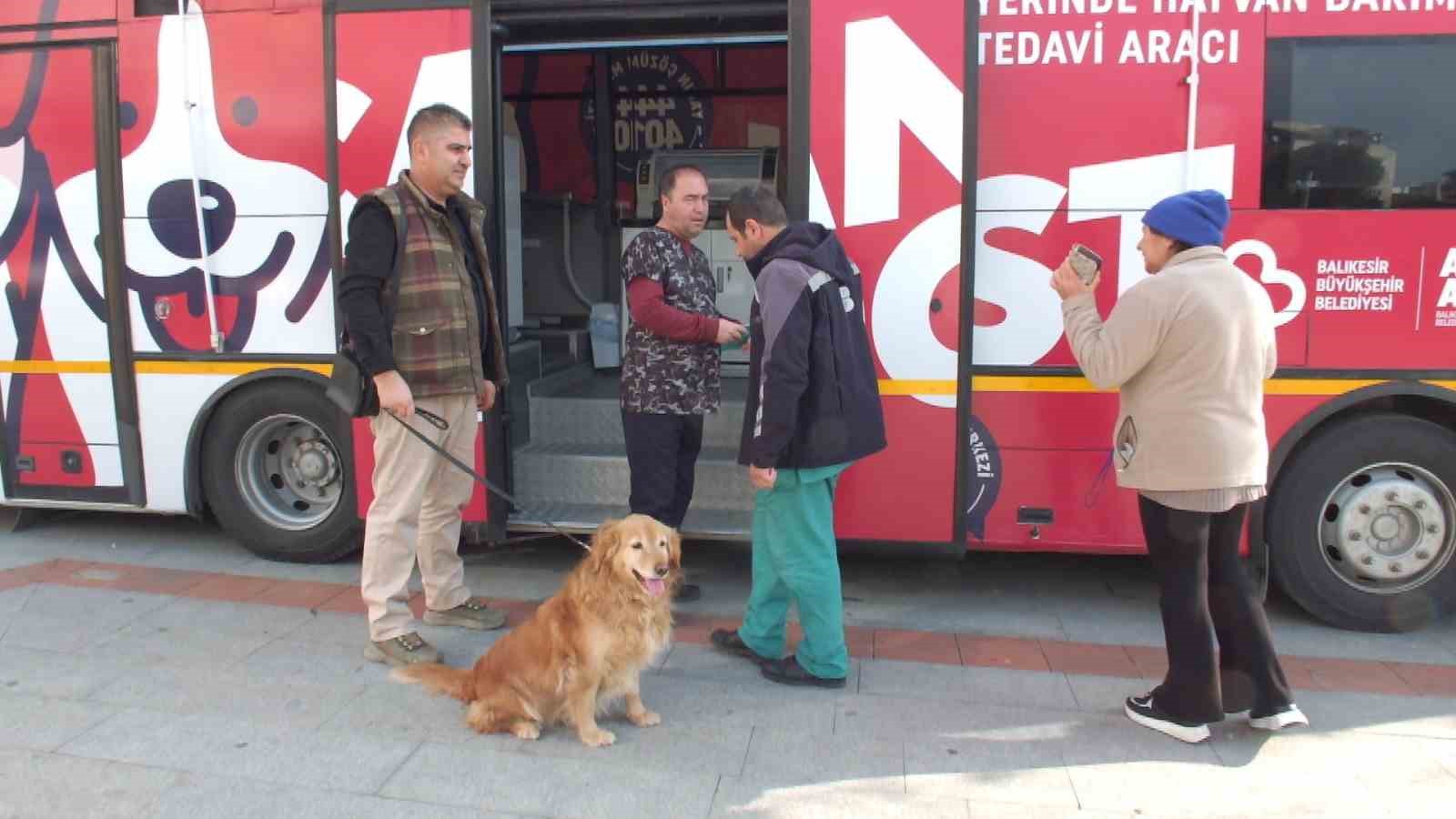 Balıkesir’de sokak hayvanları çok şanslı
