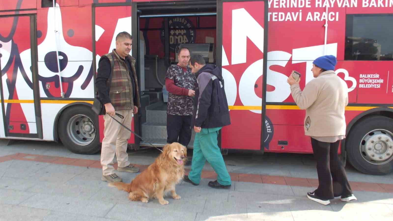 Balıkesir’de sokak hayvanları çok şanslı
